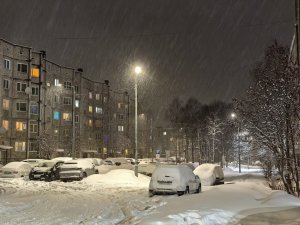 <p>Жители Ковдора пожаловались на мусорный коллапс, который возник в городских дворах.</p>
<p><span style="font-size: 14pt;"><em>&mdash; В Ковдоре мусорный коллапс, прошу вмешаться, &mdash; подчеркнул северянин Дмитрий Зозуля, обращаясь к губернатору в соцсетях.</em></span><br /><br />Так, мусор скопился возле домов на улицах Слюдяная, Комсомольская, Кошица и Ленина.<br /><br />Фотографии переполненных баков и пакетов с отходами, стоящих рядом с контейнерами, опубликованы в паблике &laquo;Аноним Ковдор&raquo;.<br /><br /><span style="font-size: 14pt;"><em>&mdash; Печально&hellip; Век таких технологий, новшеств, красоты, эстетики, а мы живем как крысы в помойке, &mdash; цитируют в сообществе слова подписчицы, выложившей фотоснимки.</em></span></p>
<p><br />Северяне отметили, что подобная ситуация сложилась и в других дворах.<br /><br /><span style="font-size: 14pt;"><em>&mdash; То же на Кирова и Горняков, &mdash; отметил Олег Нестеров.</em></span><br /><span style="font-size: 14pt;"><em>&mdash; Когда контейнеры ставили, говорили, что все огонь будет. Что в мусоре зарастать никто не будет, все будет вовремя, &mdash; посетовала Яна Матвеева.</em></span><br /><span style="font-size: 14pt;"><em>&mdash; Это подарки на новый год. Разбирай, народ! &mdash; с сарказмом написал Олег Капинос.</em></span><br /><span style="font-size: 14pt;"><em>&mdash; У нас на Ленина, 8 не лучше. Можно уже с мусорных гор на санках кататься, &mdash; посетовала Ирина Бородина.</em></span><br /><br />На жалобы северян отреагировал регоператор, отметив, что мусор не смогли вывезти вовремя из-за поломки техники.</p>
<p>
            <div class="smi24__informer smi24__auto" data-smi-blockid="33954"></div>
            <div class="smi24__informer smi24__auto" data-smi-blockid="33953"></div>
            <script>(window.smiq = window.smiq || []).push({});</script>
          </p>
<p><br /><span style="font-size: 14pt;"><em>&mdash; К сожалению, из-за поломки специальной техники мусоровывозящая компания, обслуживающая Ковдор, не смогла вовремя вывезти твердые коммунальные отходы с контейнерных площадок города. В результате было допущено переполнение контейнеров на ряде площадок, &mdash; пояснили в Мурманском филиале АО &laquo;Ситиматик&raquo;.</em></span></p>
<p><br />Там отметили, что ситуацию удалось выправить.</p>
<p>
            <div id="containerId366751"></div>
            <script>
              (function(w, d, c, s, t){
                w[c] = w[c] || [];
                w[c].push(function(){
                  gnezdo.create({
                    tizerId: 366751,
                    containerId: "containerId366751"
                  });
                });
              })(window, document, "gnezdoAsyncCallbacks");
            </script>
          </p>
<p><br /><span style="font-size: 14pt;"><em>&mdash; Мусор вывезли со всех площадок с так называемой &laquo;заглубленкой&raquo;. Площадки, оборудованные контейнерами 1,1 м. куб., будут &laquo;зачищены&raquo; сегодня до конца дня, &mdash; пообещали в компании.</em></span><br /><br /><em>Фото: https://vk.com/anonimuskovdor51</em></p>